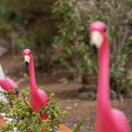 Apartmán Apto Jardin Del Sol